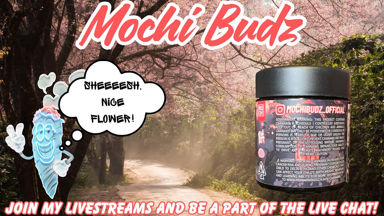 MOCHI BUDZ FLOWER REVIEW: Candy Chrome (🍭🔥😶&zwj;🌫️) Another Banger!