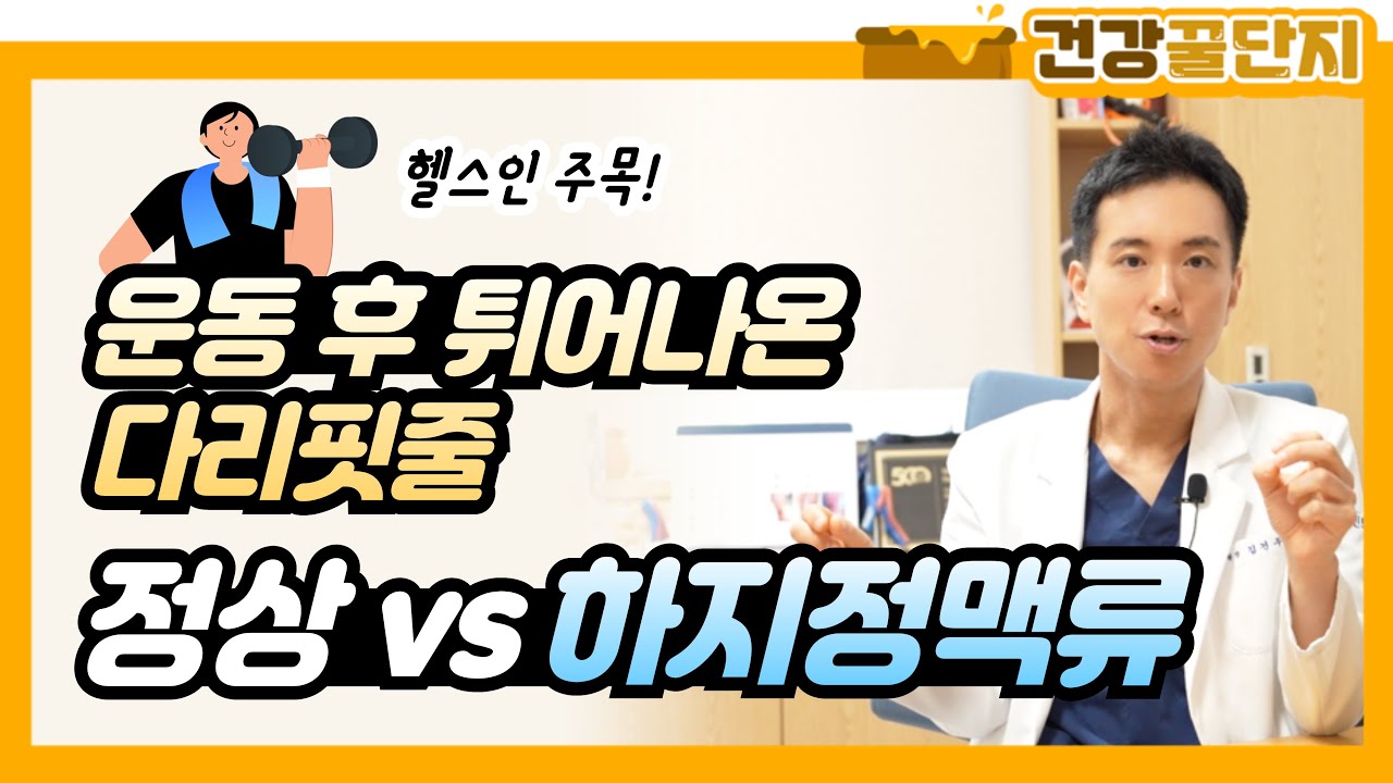 운동 후 튀어나온 다리 핏줄, 괜찮을까? 정상 vs 하지정맥류
