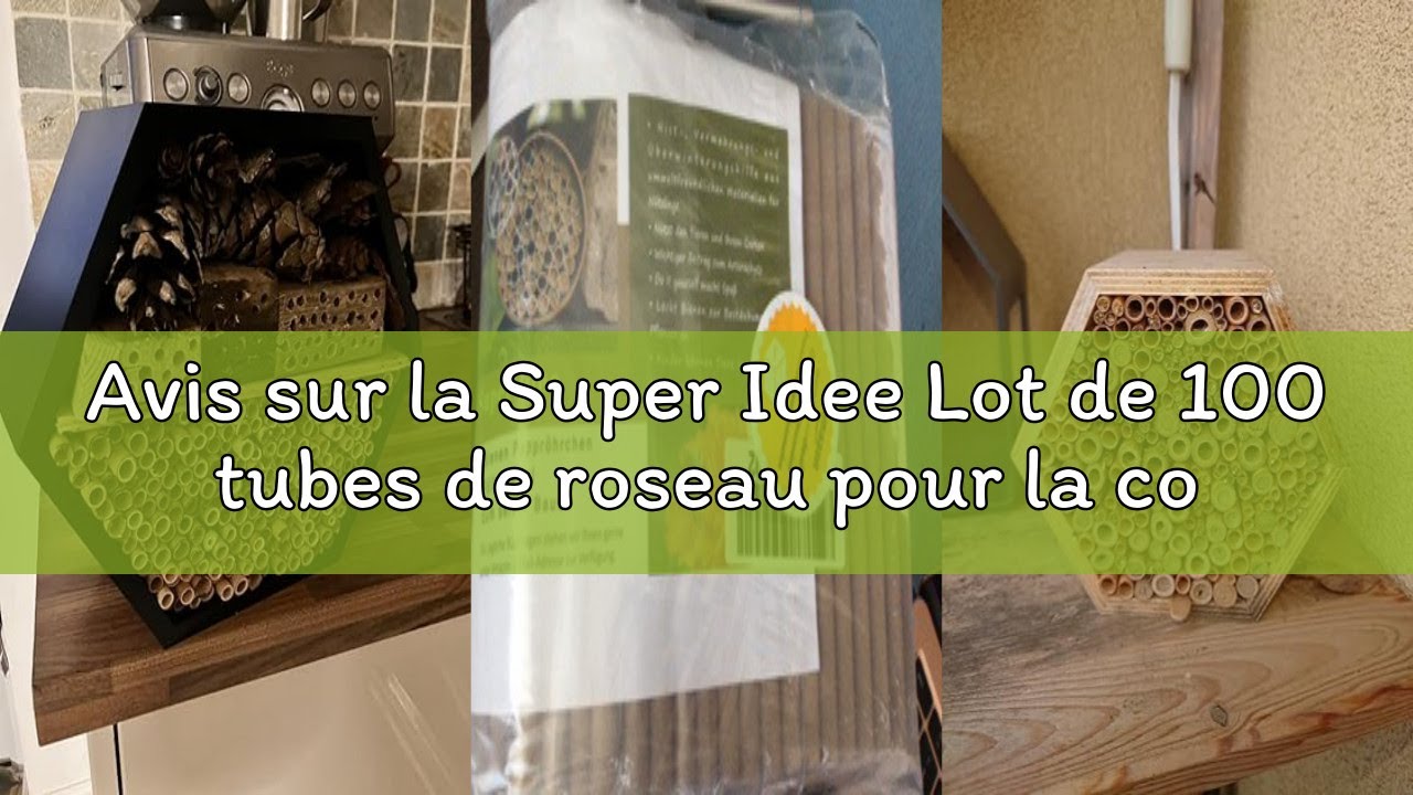 Avis sur la Super Idee Lot de 100 tubes de roseau pour la construction d'hôtel à insectes,Longueur :