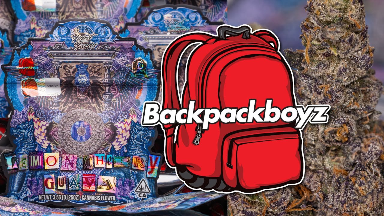 Backpack Boyz "Lemon Cherry Guava" | What's In Your Bag?