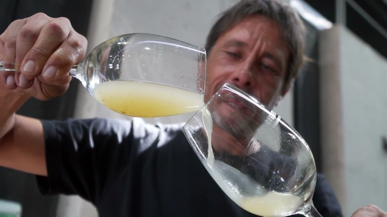 DURIGUTTI WINES - LAS COMPUERTAS - LUJAN DE CUYO