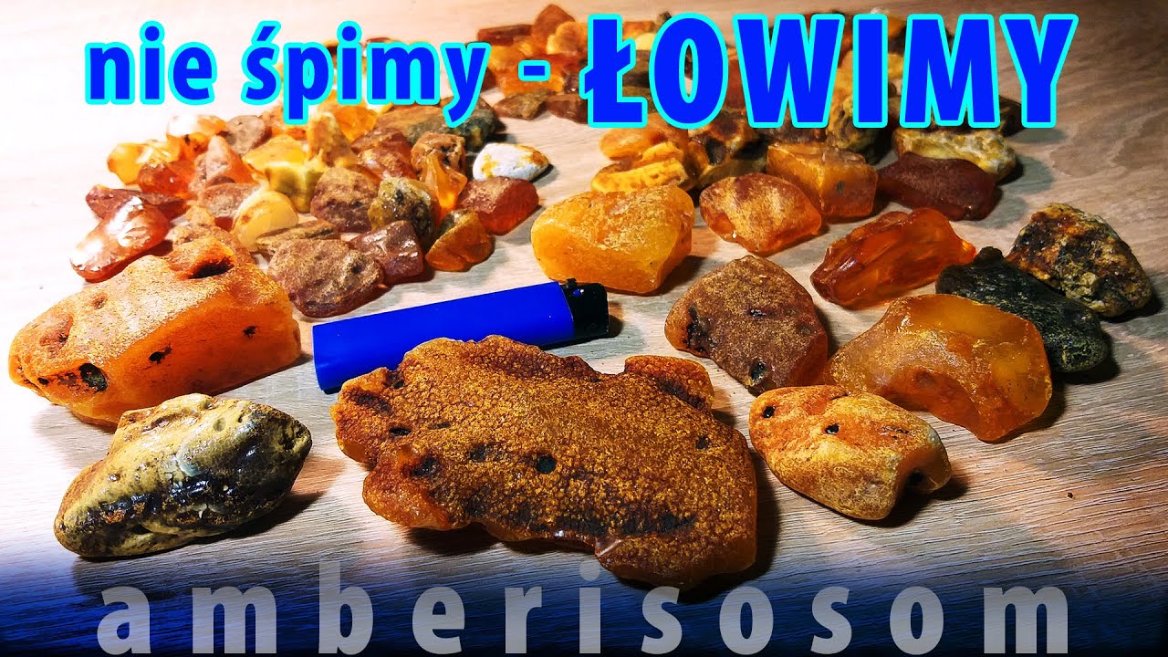 NIE ŚPIMY - BURSZTYN ŁOWIMY [napisy - pl]