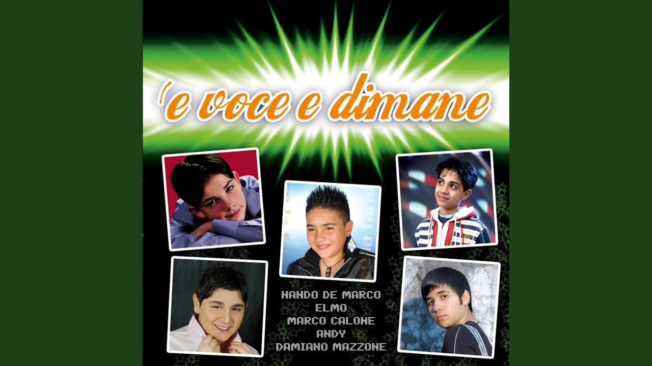 Voglio fa o cantante