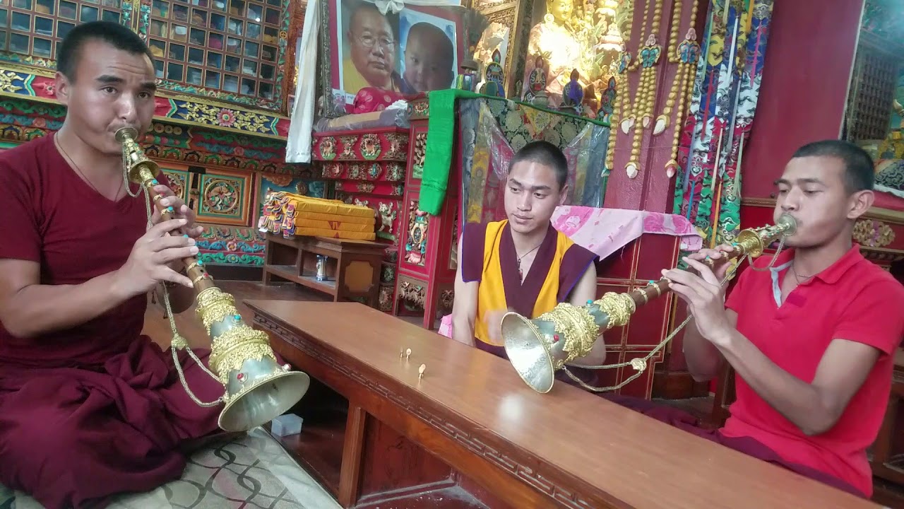Palyul gualing ll how to blow gyaling. ll གཞུང་གི་རྒྱ་གླིང་ཐེང་དང་པོ་གོ་གཙུག་དུས་སྤྱི་ལོ་༢༠༡༩ ལོར།