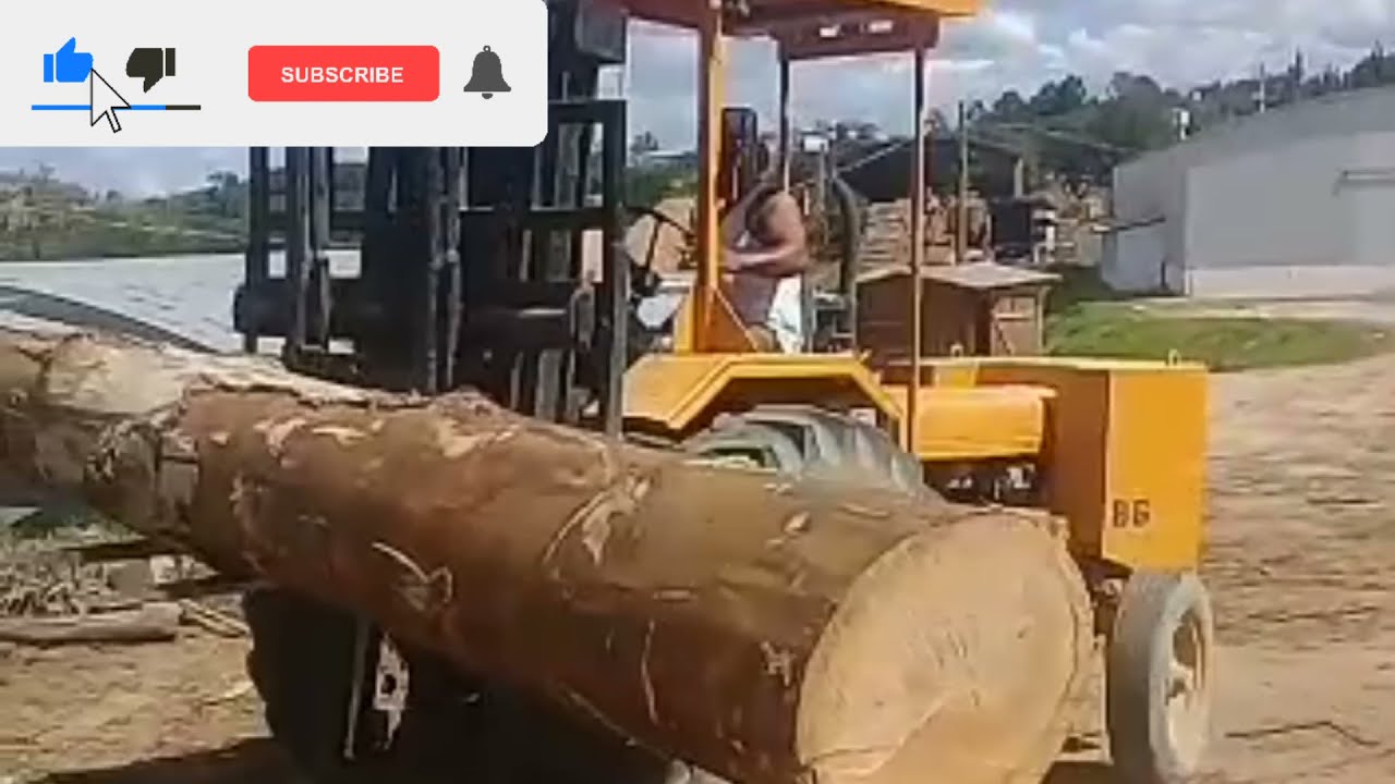 madeira bruta 😱