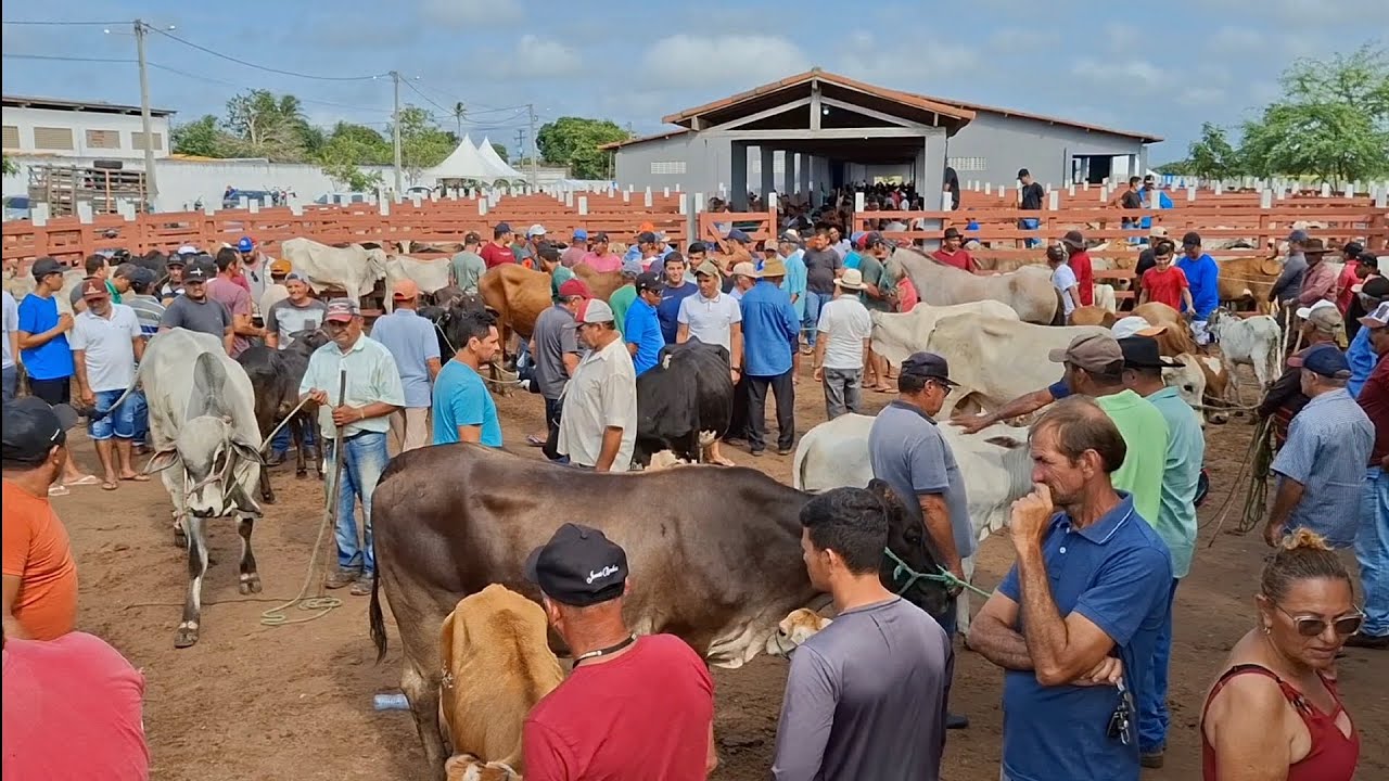 FEIRA TOPADA DE LAGOA DE PEDRAS-RN. 10.03.2025