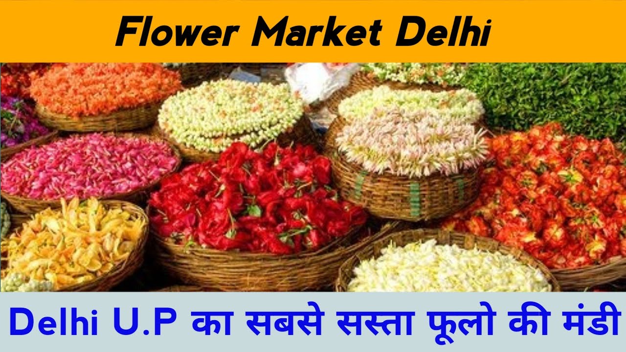 Flower Market Gazipur|Cheapest Price Flower Market|दिल्ली यूपी का सस्ता फूल मंडी #flowerfestival