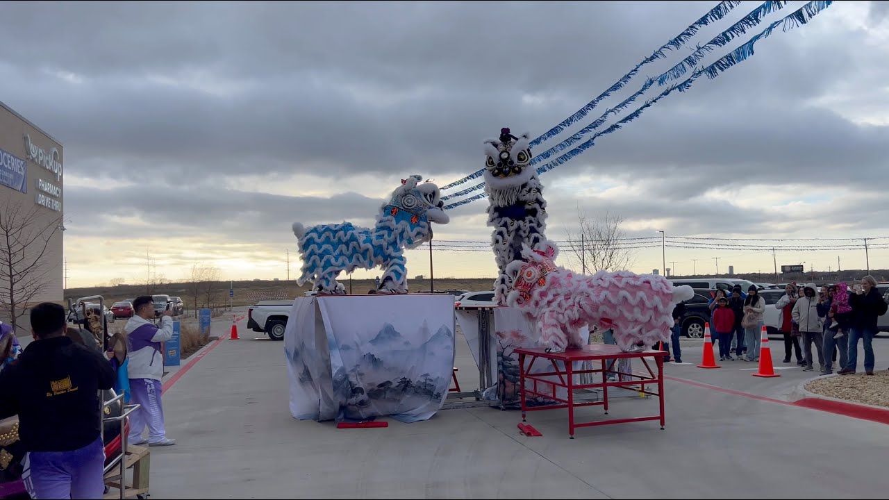 Jiu Long Lion Dance Performance