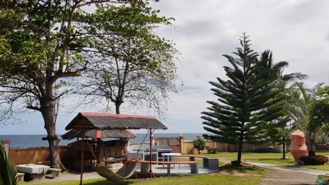 HD relaxing view wind breeze birds chirping water waves ASMR