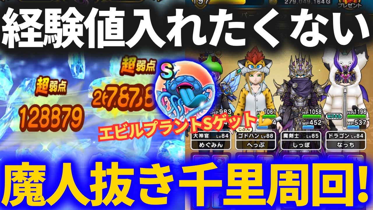 【ドラクエウォーク】魔人抜きでくもの大王千里行周回！もう魔人に経験値入れたくない！【エビルプラントS使っていく】
