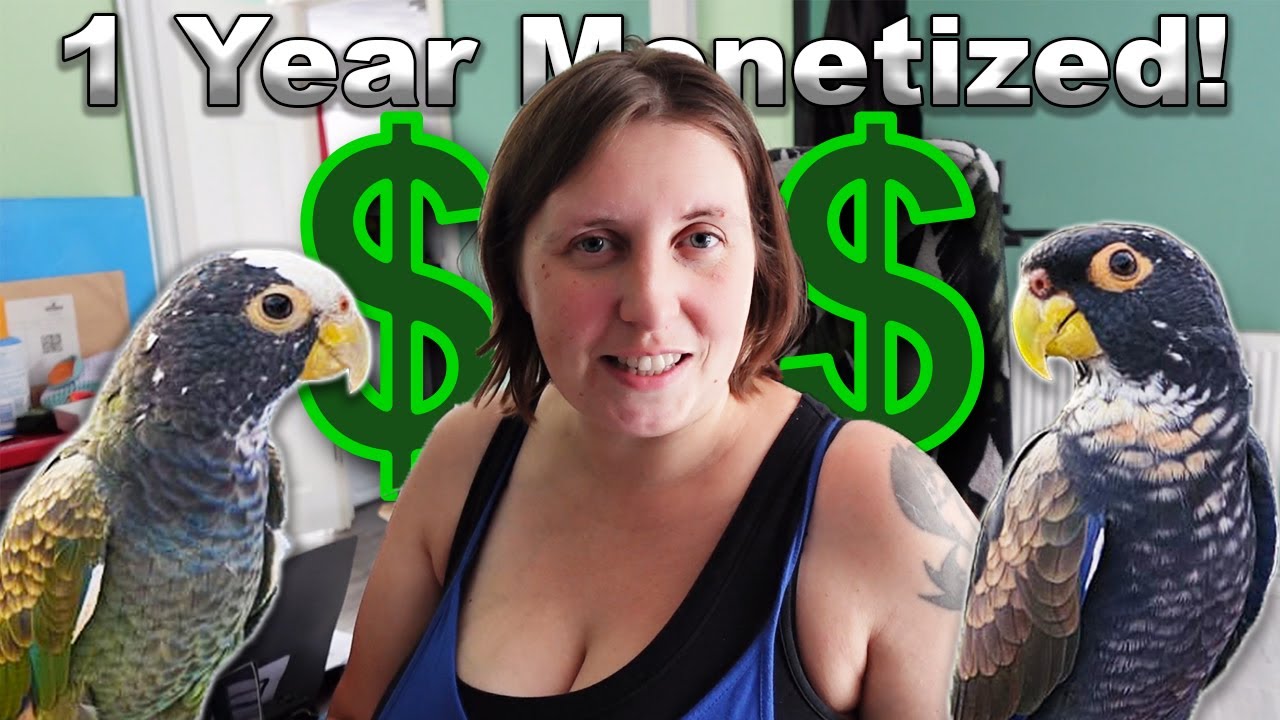 How Much YouTube Paid Us | Our First Year Monetized with 2K Subscribers