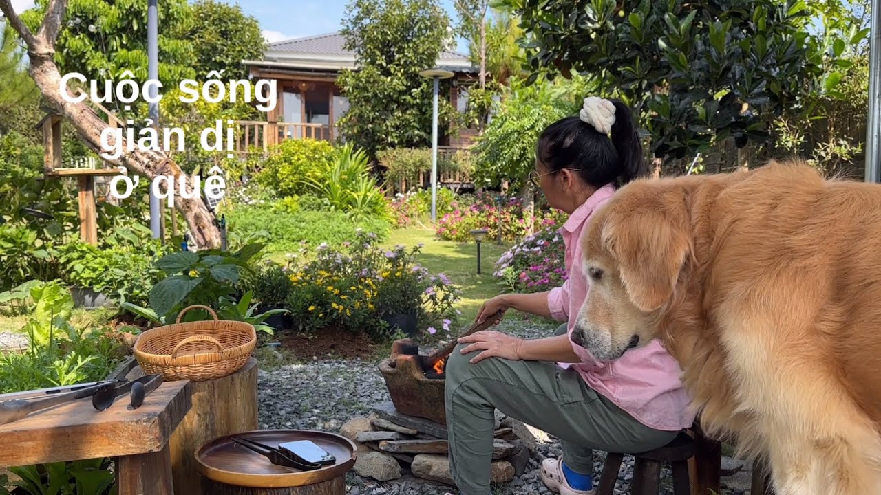 Một ngày xuân 14•c ở Vietnam.| cuộc sống thường ngày giản dị ở nông thôn . Nấu ăn ngoài vườn 