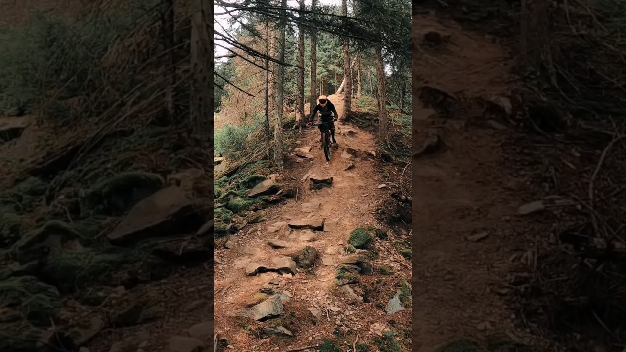 Just a casual MTB ride 