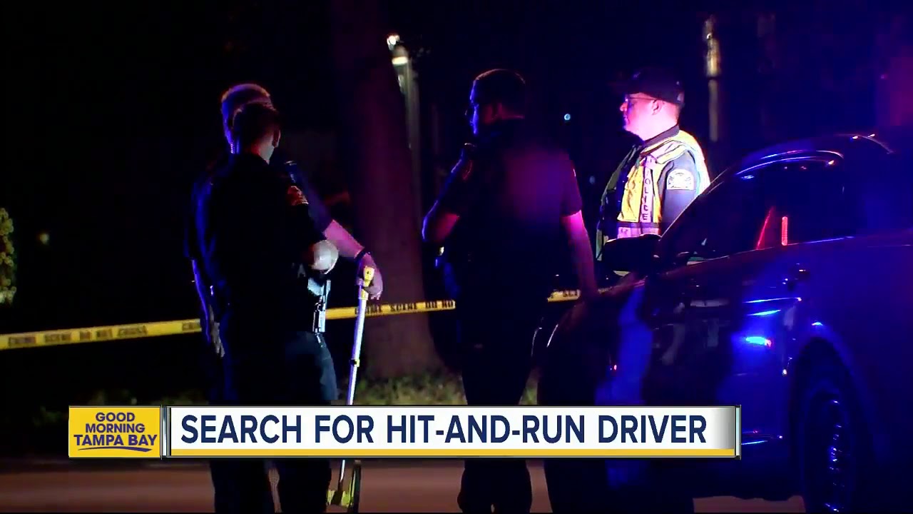 Police look for driver that hit a bicyclist in St. Petersburg, possible vehicle impounded