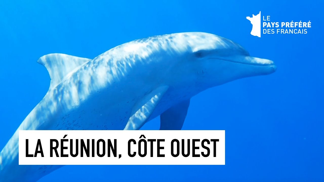 Côte ouest de la Réunion - Les 100 lieux qu'il faut voir - Documentaire