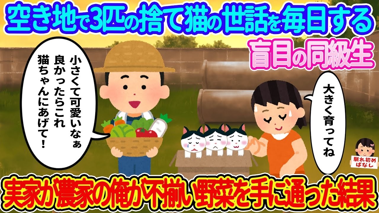 盲目の同級生と3匹の捨て猫を救い、農家の僕が不揃い野菜で奇跡を起こした話
