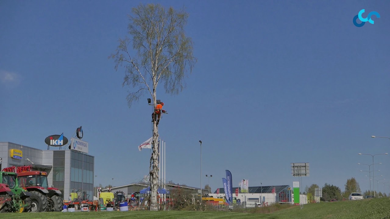 Pihapuun kiipeilykaato-työnäytös Seinäjoen Konerengas Oy 11.5.2018