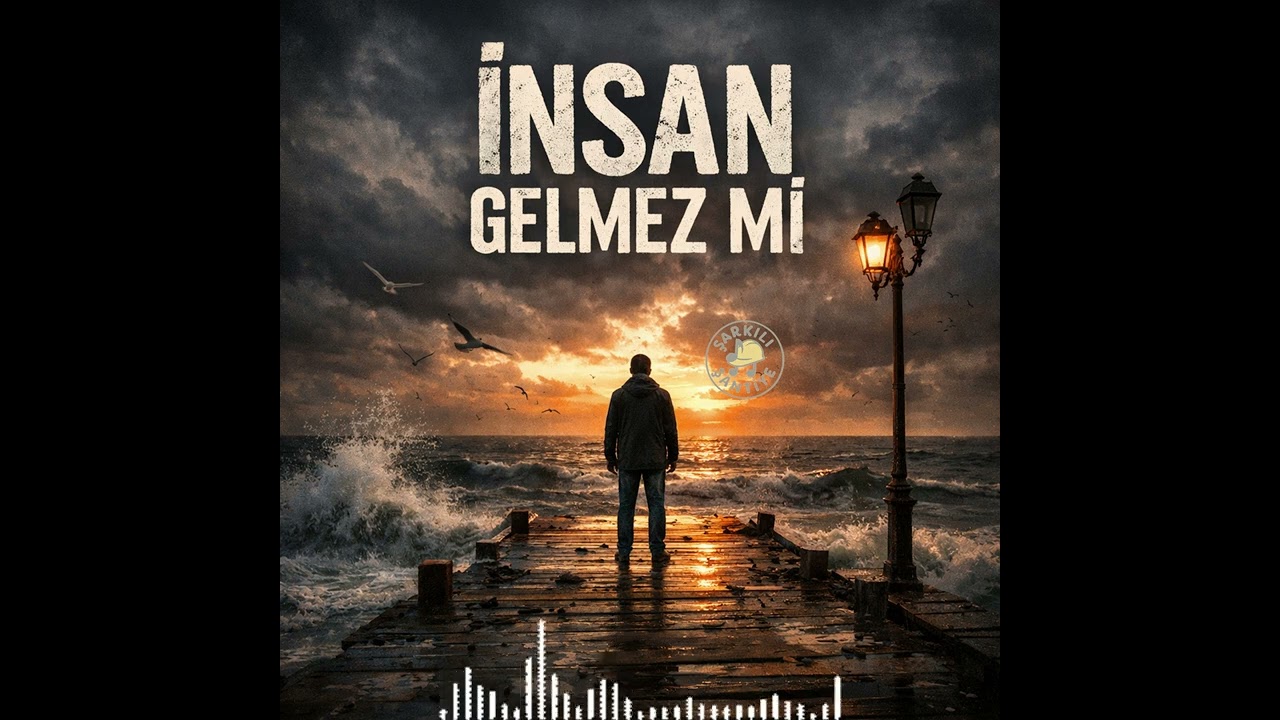 İnsan Gelmez Mi Cover 