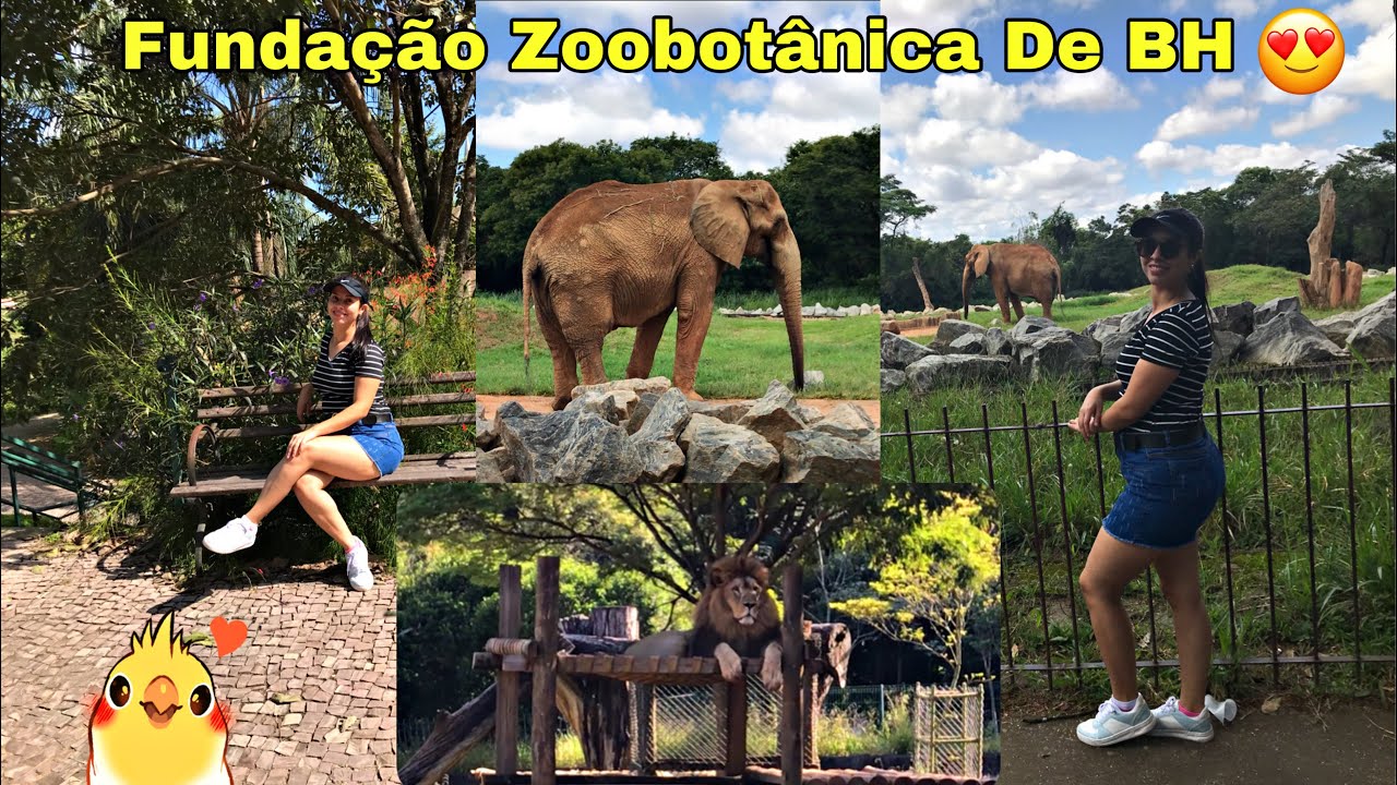 TOUR PELO ZOOLÓGICO DE BELO HORIZONTE / Agnes Alves