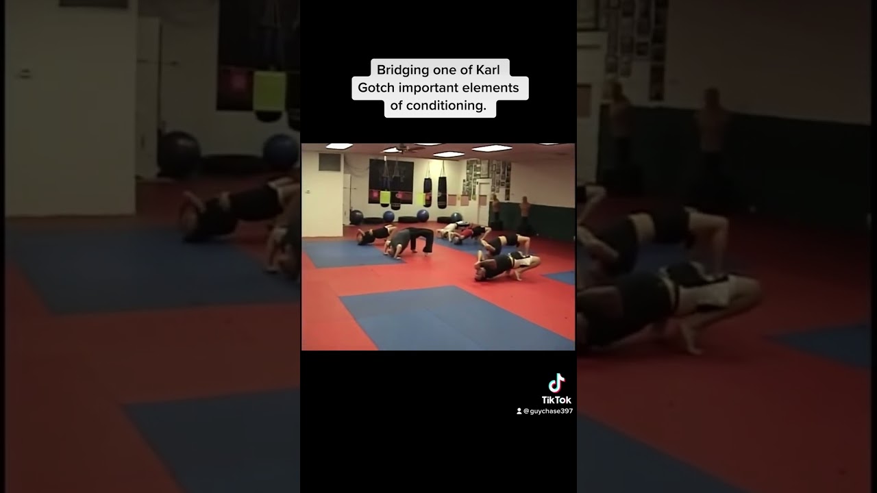 Guy Chase / Karl Gotch Submission system