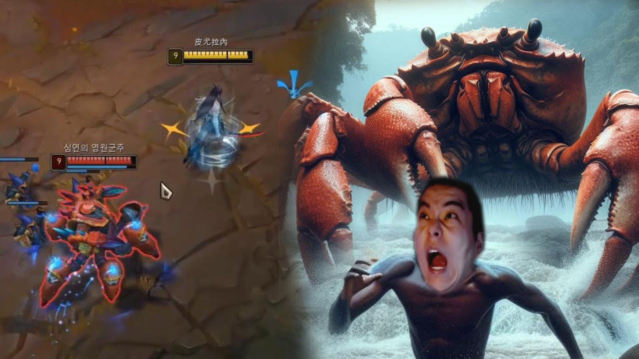 절대 홍게랑 붙어서 싸워서는 안돼