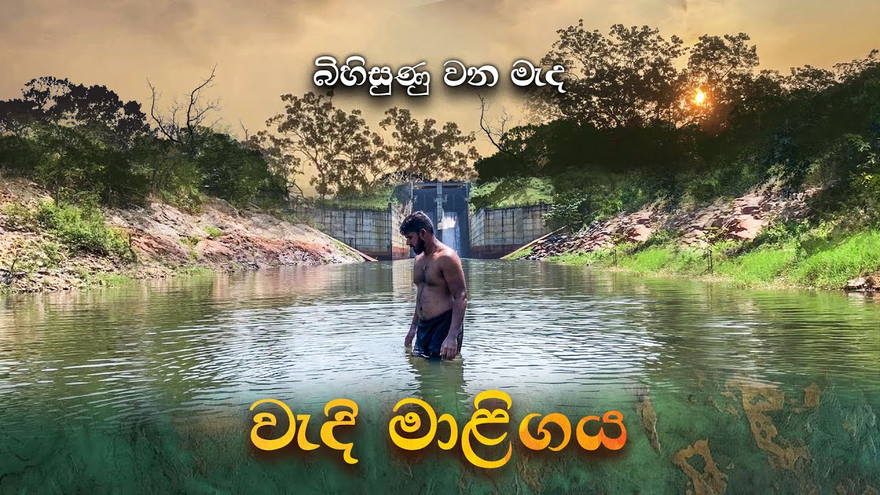 බිහිසුණු වන මැද වැද්දන්ගේ මාළිගාවේ රැයක් | ​⁠Mysterious night in a wadda's palace | @sanchaarakaya