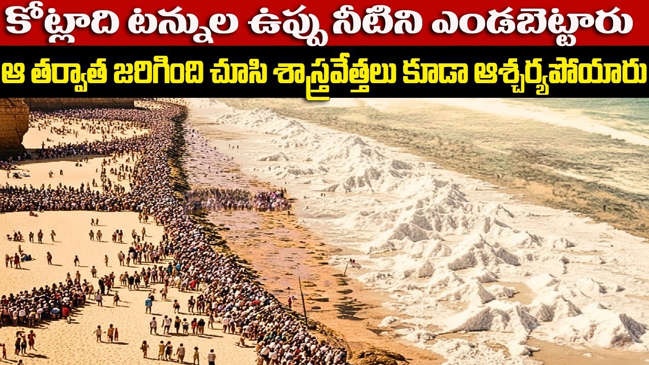 కోట్లాది టన్నుల ఉప్పు నీటిని ఎండబెట్టారు | ఆ తర్వాత జరిగింది చూసి శాస్త్రవేత్తలు కూడా ఆశ్చర్యపోయారు
