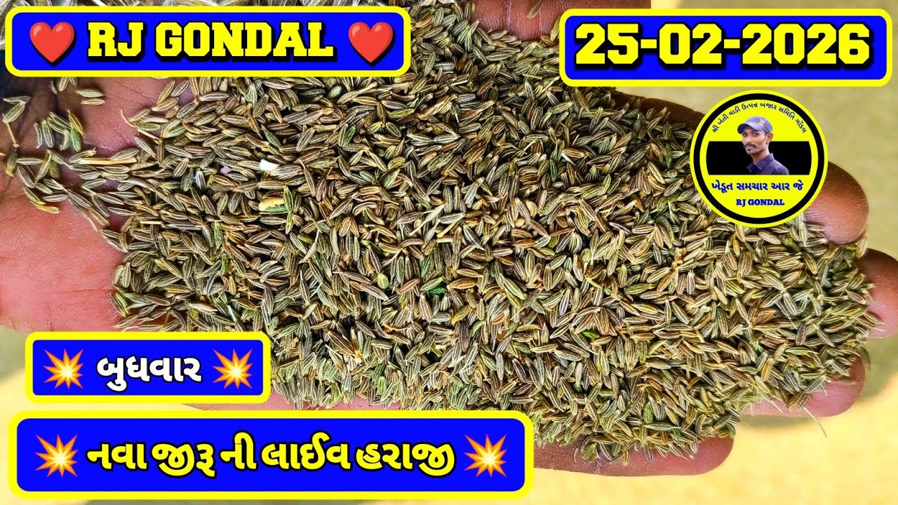 નવા જીરા ના ભાવ | 25-02-2026 | Nava jeera na bhav | જીરા ના ભાવ | RJ Gondal Marketing Yard |