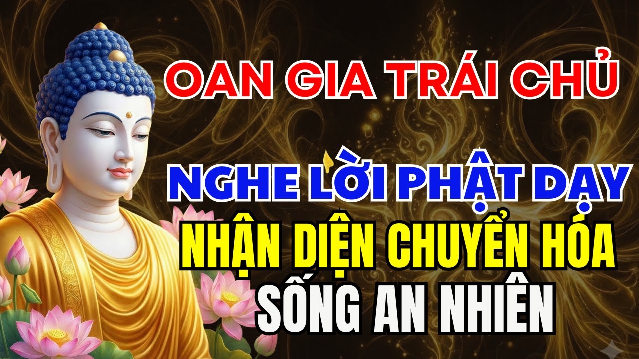 Lời Phật Dạy: Oan Gia Trái Chủ - Cách Nhận Diện Và Chuyển Hóa Để Sống An Nhiên