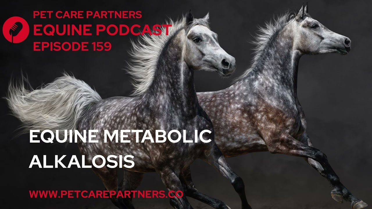 EP. 160: Метаболический алкалоз у лошадей | Причины, признаки и лечение | Pet Care Partners