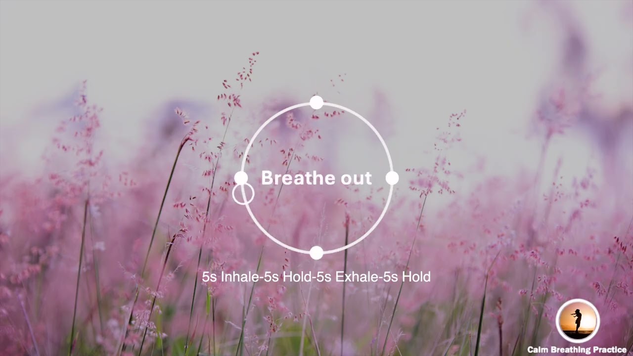 Let Your Mind Drift Away in the Wind | BOX BREATHING (10 mins)