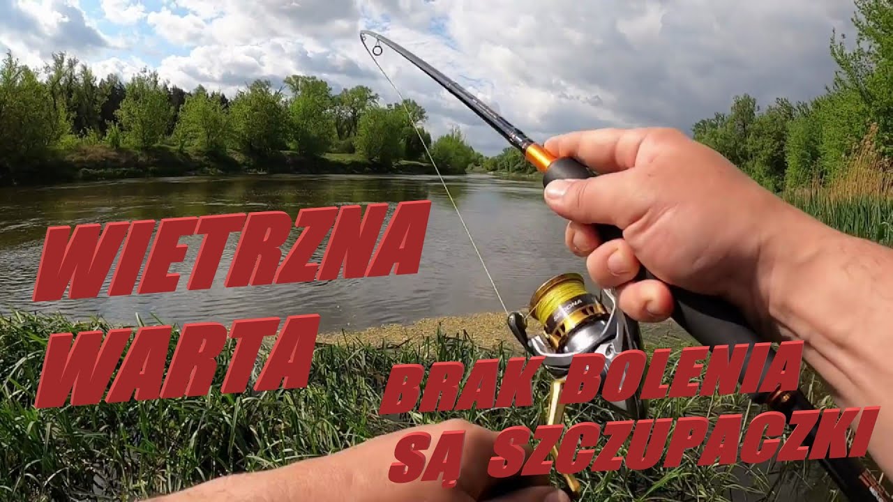 WIETRZNA WARTA / BRAK BOLENIA SĄ SZUPACZKI