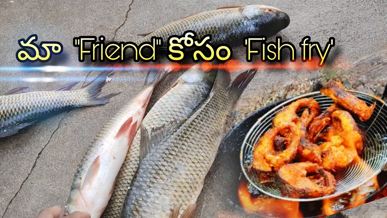 మా friend కోసం చేపల ఫ్రై #fishinglife @ngcreatives