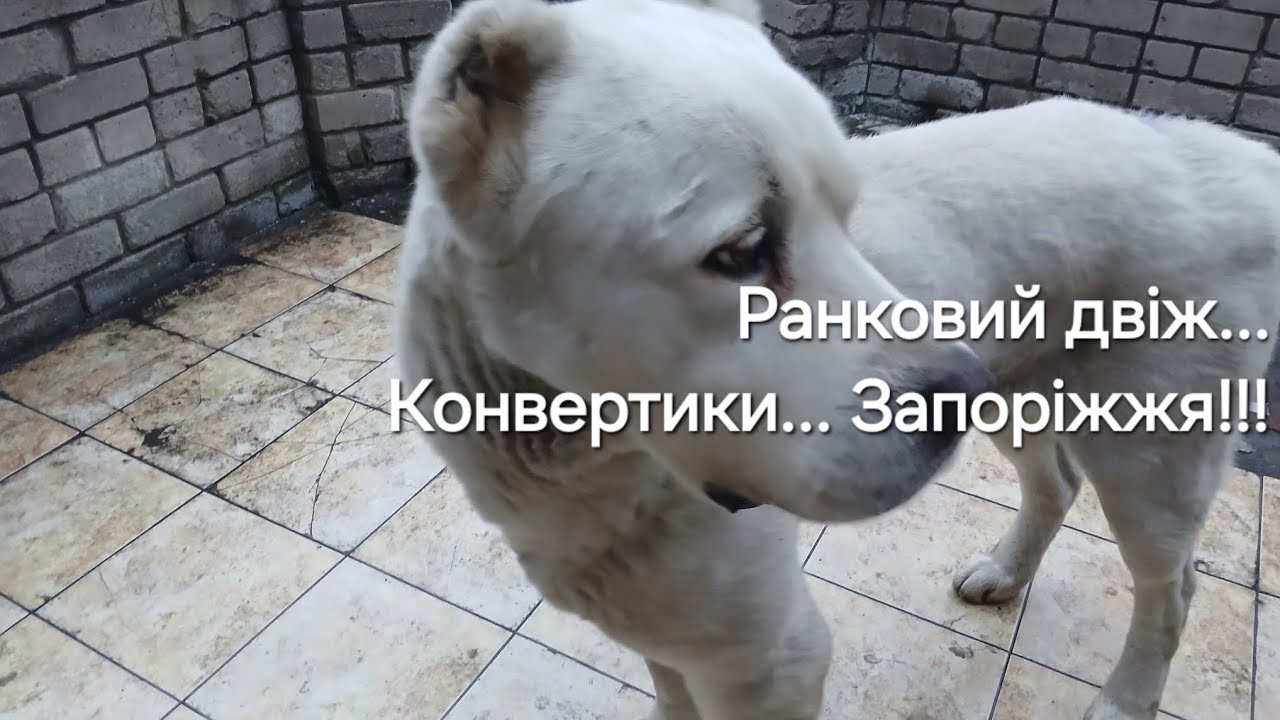 18 февраля 2026 г.