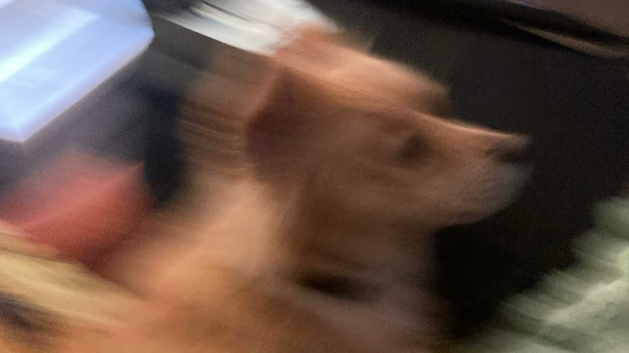 Jimmy Bobby 