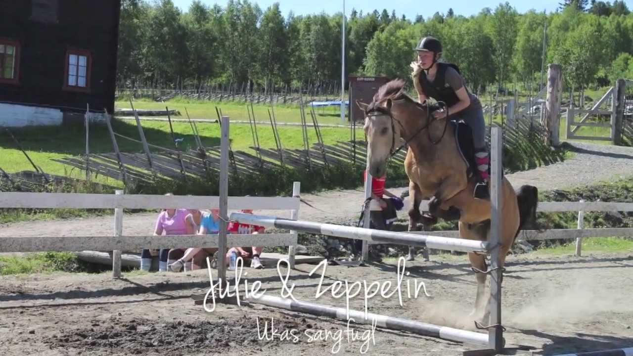 Beste gjengen ♥ [Langklopp uke 30 2013]
