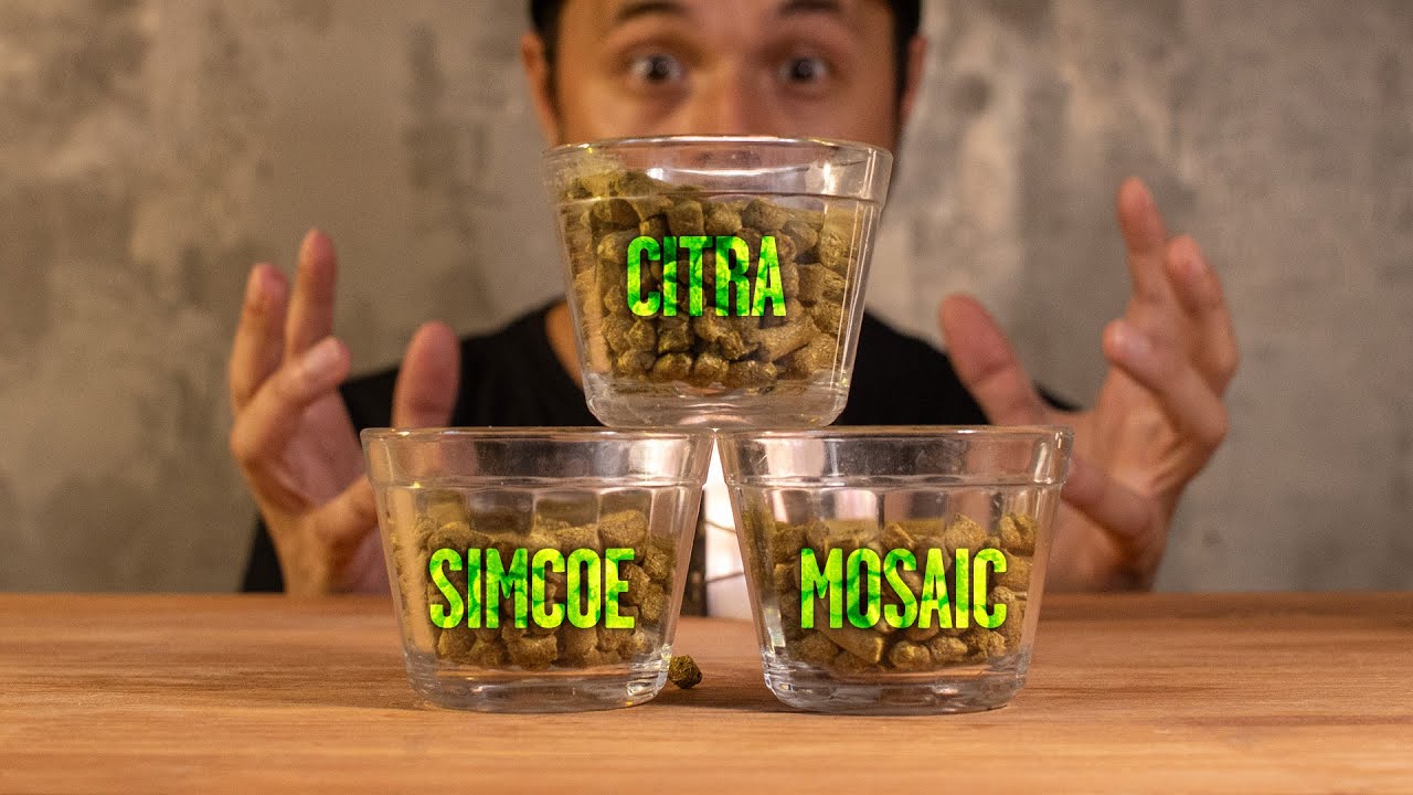 Com esses lúpulos sua cerveja vai explodir de aroma!