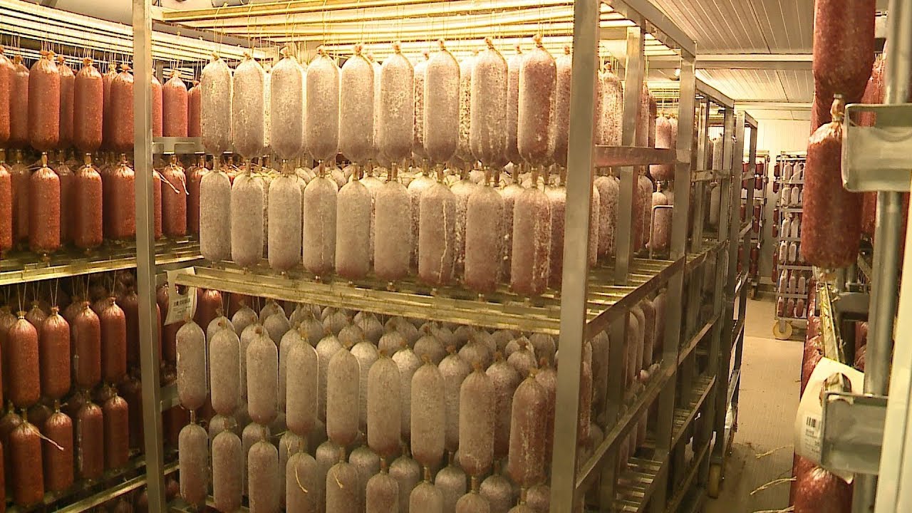 Polgármesteri bejárás a Kaiser Food- nál  2019.09.12.
