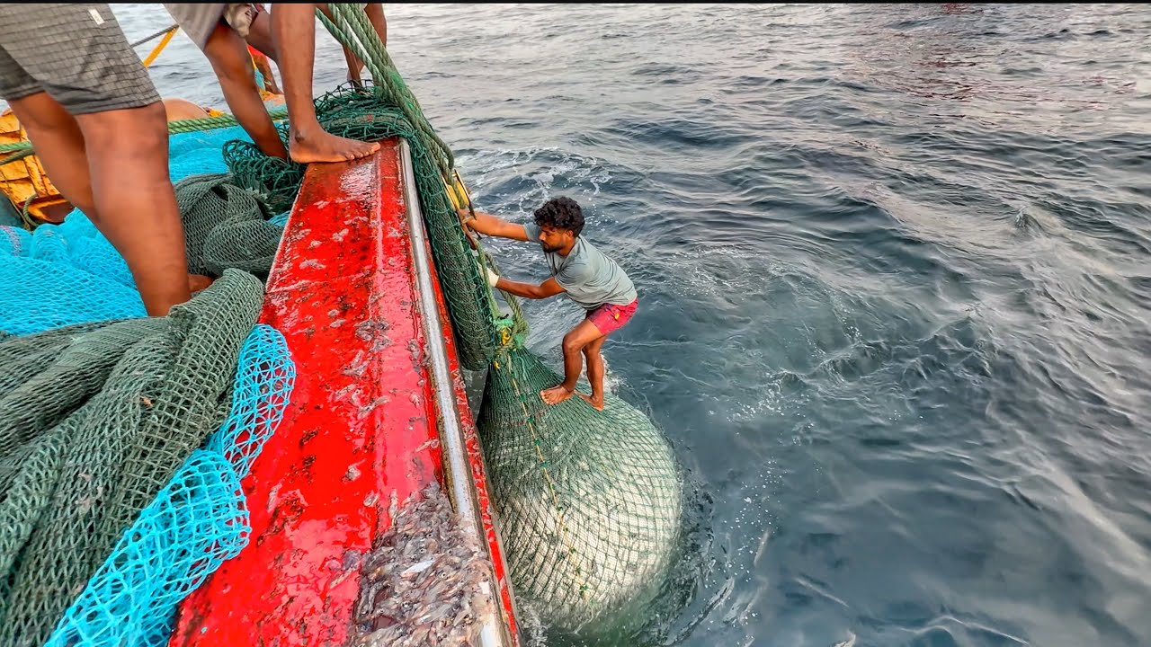 Wow‼️ Second Day Deep-Sea Haul: NET BURSTS With HUNDREDS of Fish! 🐟🔥|| Day-02