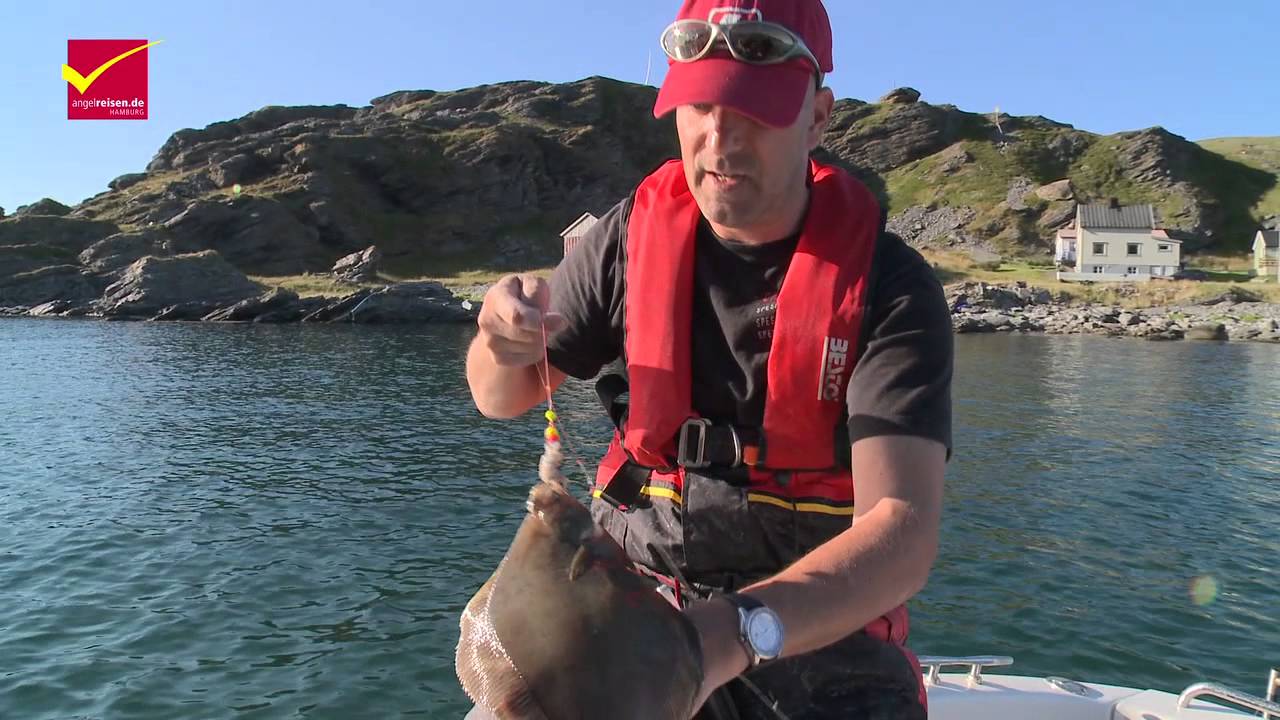 Das Heilbutt Revier - Heilbutt Angeln in Havøysund (Teil 2)
