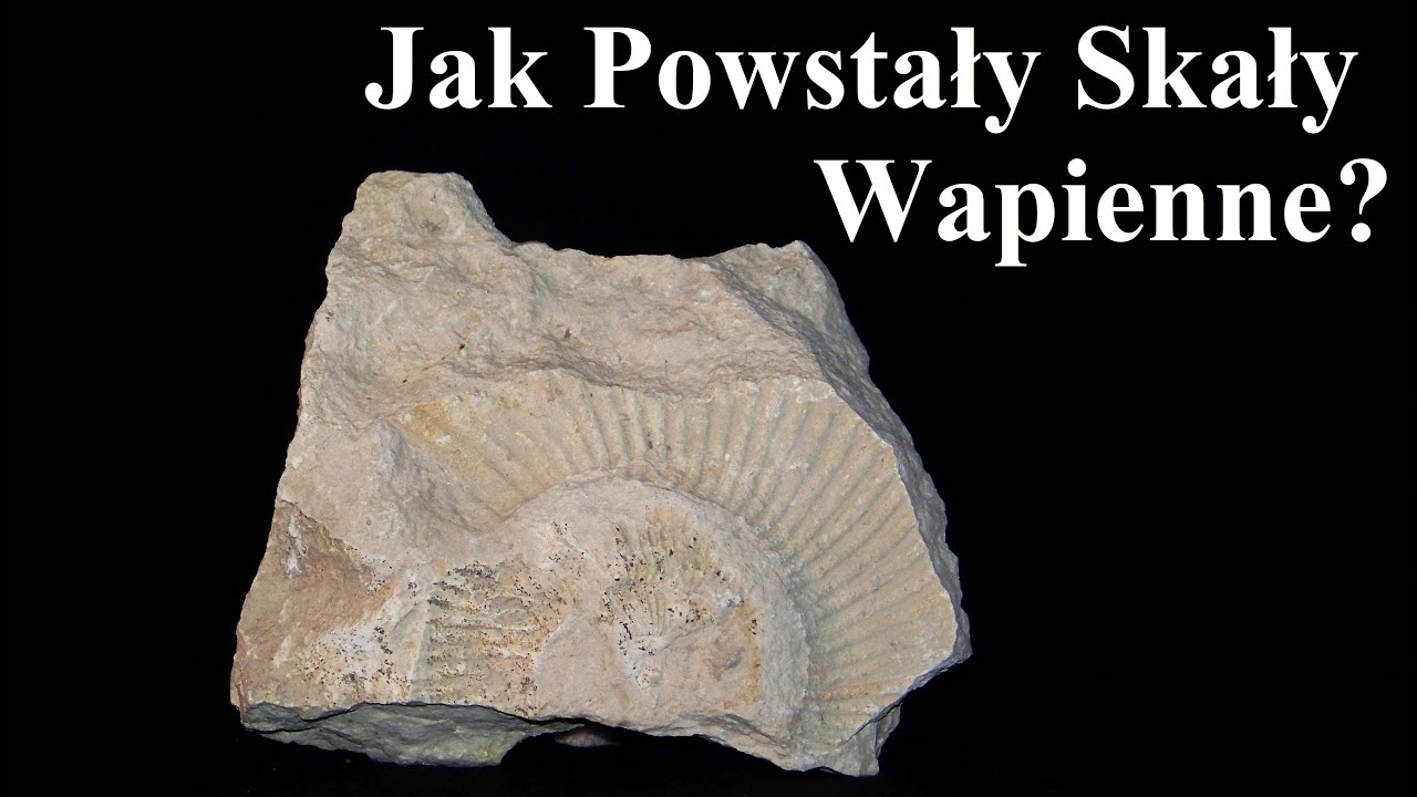 Jak Powstały Skały Wapienne