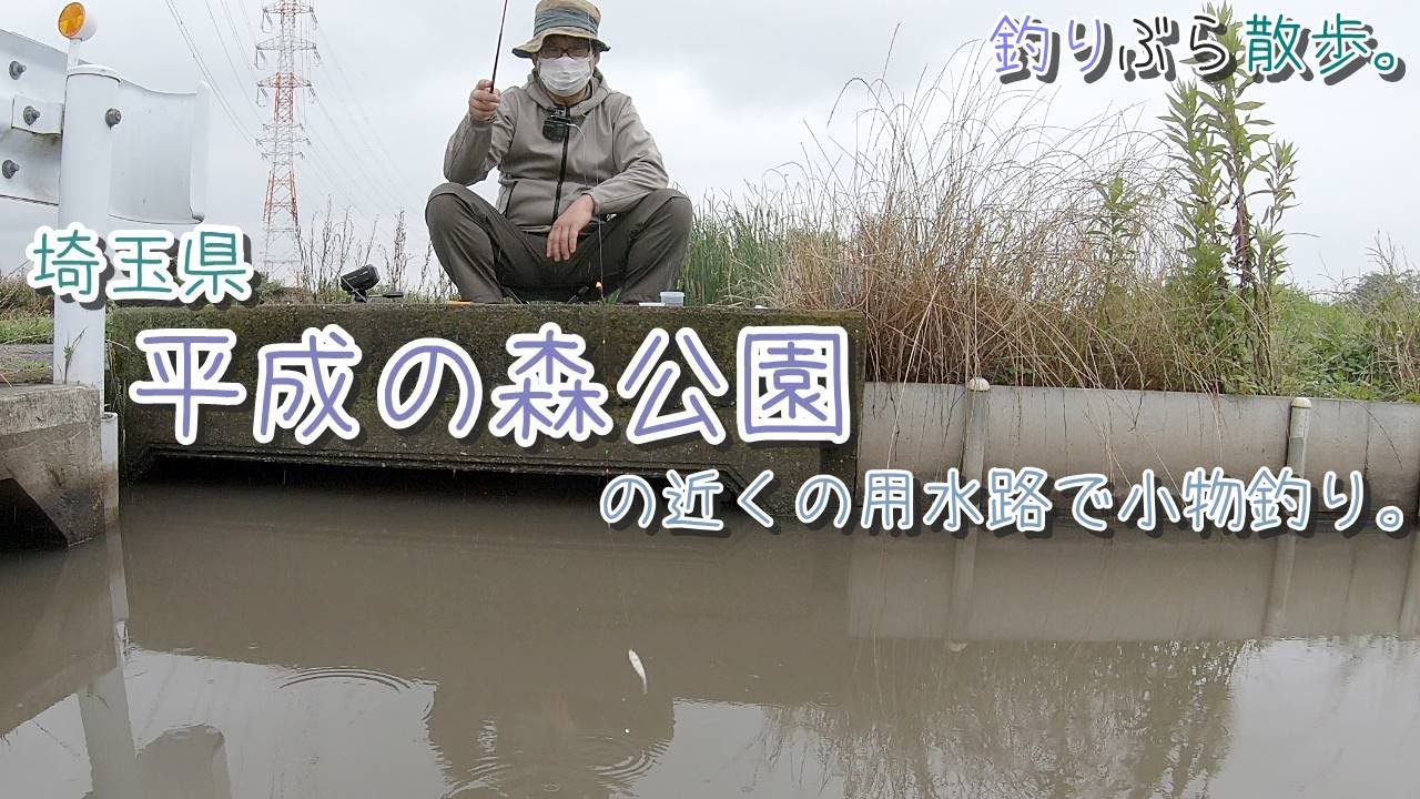 【小物釣り】入れ食い！埼玉県 川島の平成の森付近の用水路で小物釣り。【淡水】