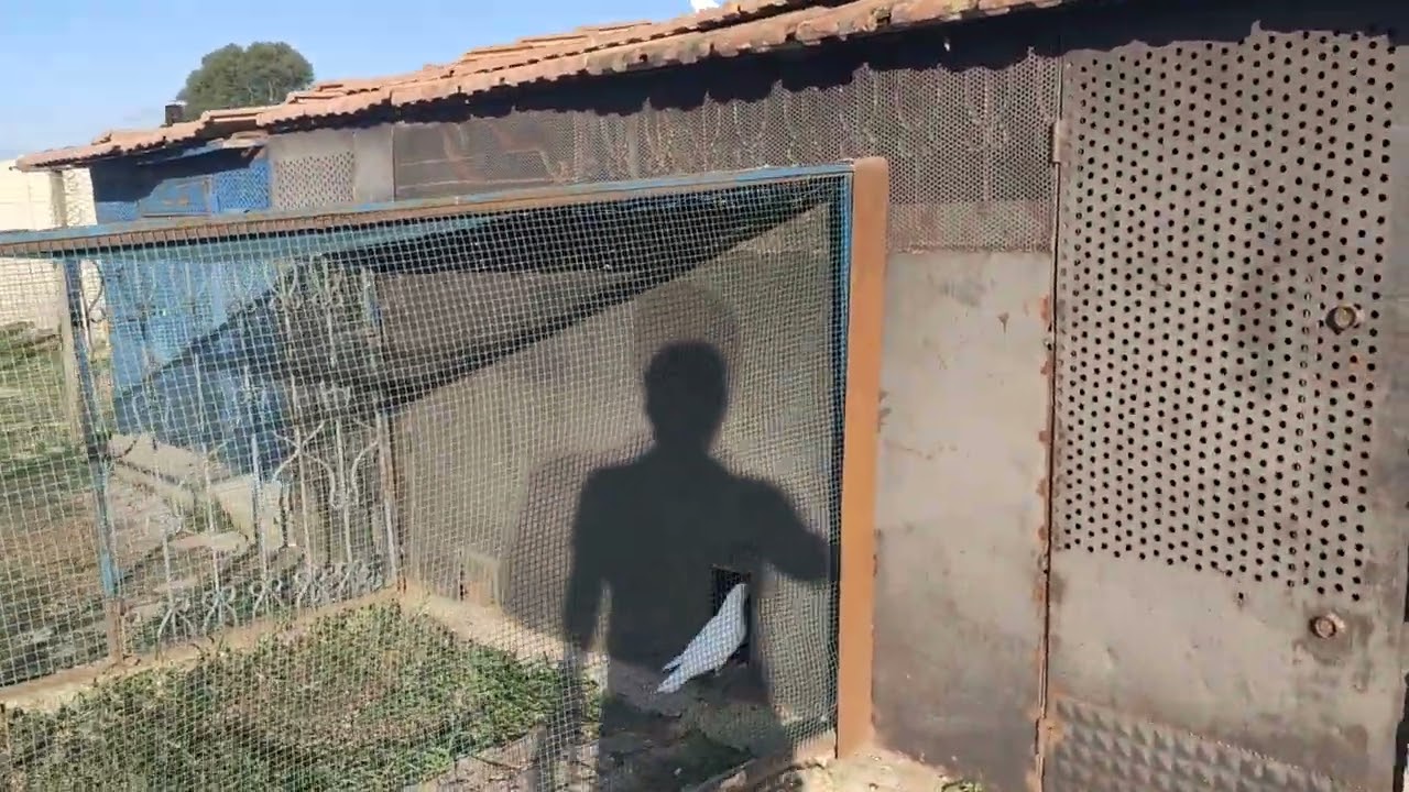 Çorum Kazı Serinletme Yöntemi