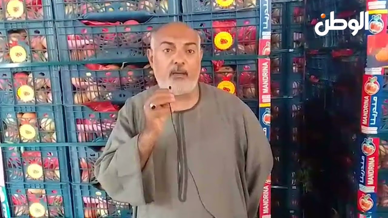 من محطات التصدير إلى الخارج.. رمان البداري من أسيوط  يغزو الأسواق العالمية