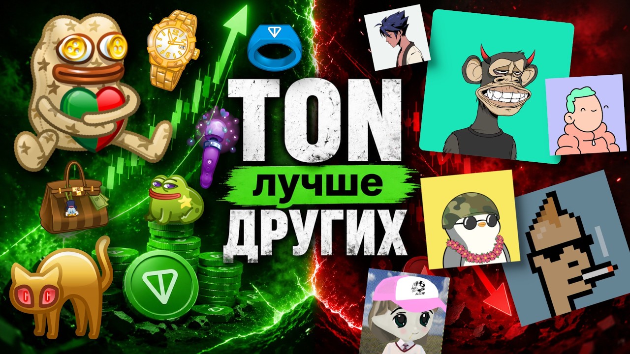 ПОЧЕМУ NFT НА TON КРУЧЕ ДРУГИХ? ПОДАРКИ, АНОНИМНЫЕ НОМЕРА, ЮЗЕРНЕЙМЫ, ТЕЛЕГРАМ