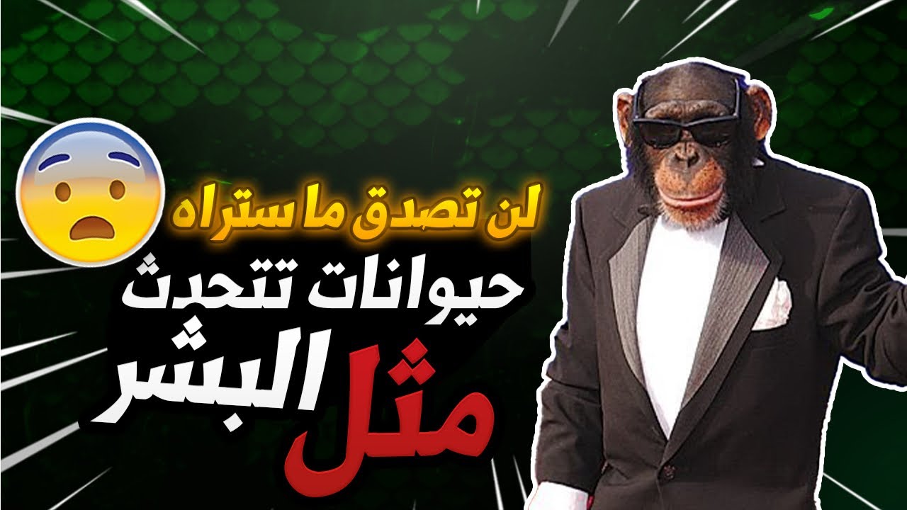 ٧ حيوانات تتحدث مثل البشر 