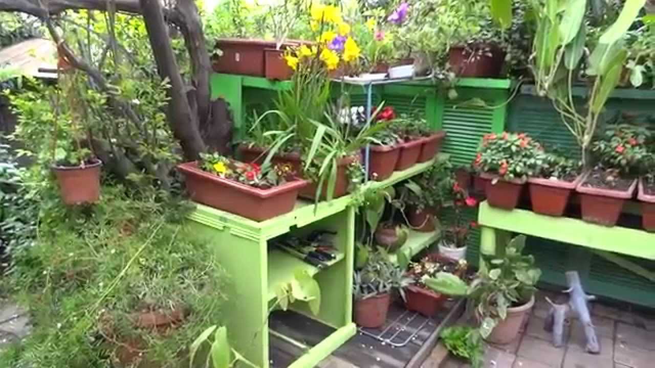 Un paseo por mi jardin