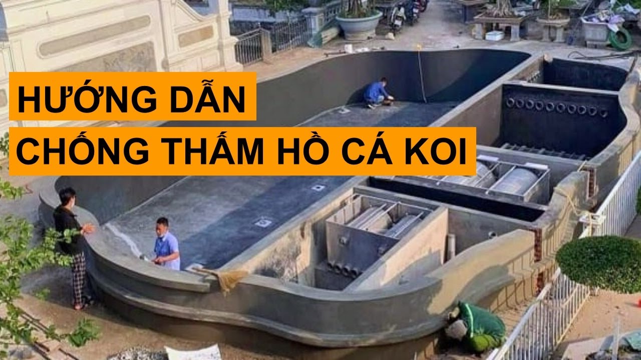 Hướng dẫn chống thấm cho hồ cá koi bị nứt mất nước nhanh. Những lỗi làm hồ bị thấm nước #vicakoi