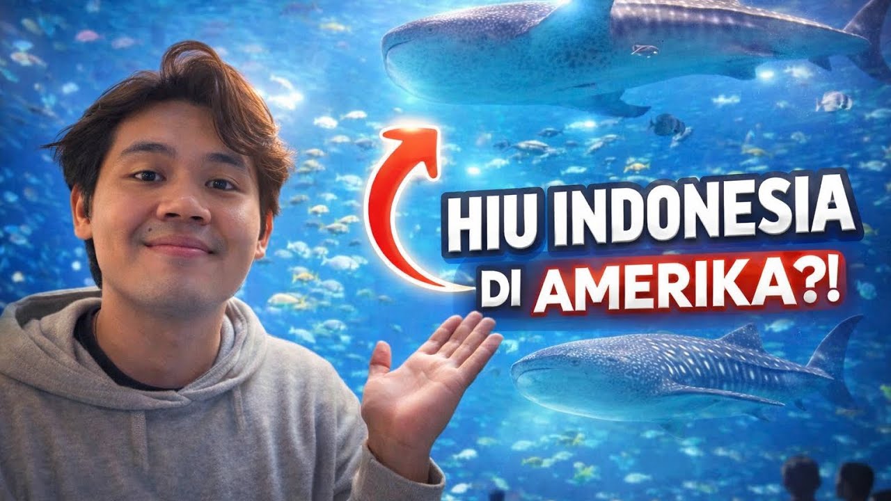 AKU HABISKAN 2JUTA RUPIAH UNTUK LIAT HIU DI AMERIKA ⁉️⁉️ || Travel vlog #2