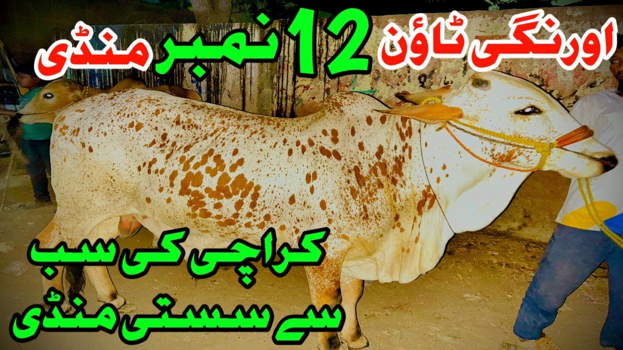 Karachi Ki Sabse Sasti Mandi 2025 | Orangi Town 12 Number Mandi Ka Haal #12numbermandi #orangitown